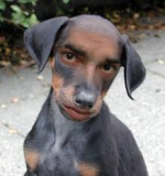 1740076315937.png