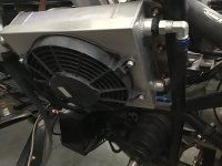 IMG_0938.jpeg