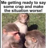 1743011238022.png