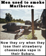 1743111523731.png