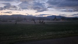 20250330_065649.jpg