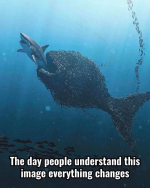 1743517436987.png