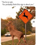 1743689393130.png