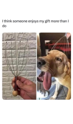 1744116797197.png