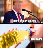 1744722285577.png