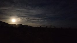 20250412_200105.jpg