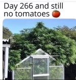 489998504_122208938498186002_4181801379384350698_n.jpg