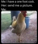 1745579729529.png
