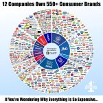 492493132_974733128158036_7058179112349972287_n.jpg