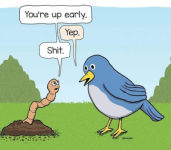 1745878456020.png