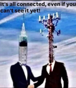 1749647167597.png