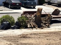 IMG_1050.jpeg