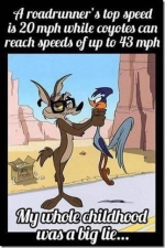 1750165552281.png