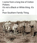 1750348162578.png
