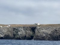 IMG_1335.jpeg