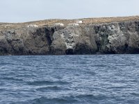 IMG_1336.jpeg