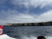 IMG_1337.jpeg