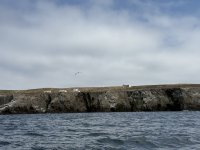 IMG_1338.jpeg