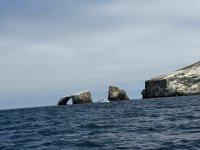 IMG_1339.jpeg
