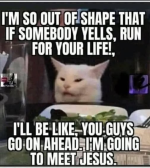 1753132231081.png