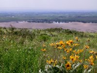 IMG_1275.JPG