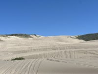 IMG_9630.jpeg