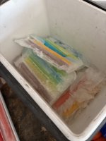 IMG_1491.jpeg