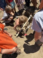 IMG_1498.jpeg