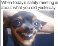 1755031920632.png