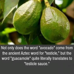 1755084539035.png