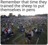 1757357986482.png