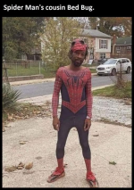 1757358035414.png