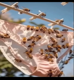 Screenshot 2025-09-09 at 07-09-36 Facebook.png