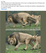 Screenshot 2025-09-17 at 14-50-03 Facebook.png