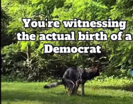 Screenshot 2025-10-09 at 07-40-19 Facebook.png