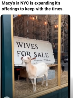 Screenshot 2025-11-11 at 07-28-08 Facebook.png