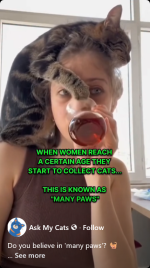 Screenshot 2025-11-11 at 09-28-45 Facebook.png