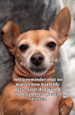 Screenshot 2025-11-28 at 13-16-23 (1) Facebook.png