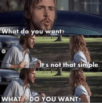 Screenshot 2025-12-11 at 10.19.30 AM.png