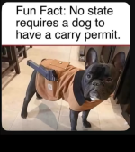 Screenshot 2026-01-27 at 06-01-46 Facebook.png