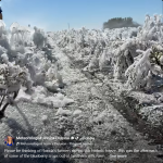 Screenshot 2026-02-02 at 07-43-27 Facebook.png