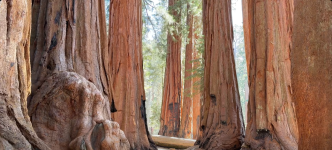 Screenshot 2026-04-03 at 18-50-26 Facebook.png