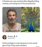 1775729620523.png
