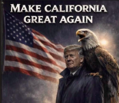 1775767025251.png