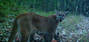 Screenshot 2026-04-10 at 09-02-01 Facebook.png