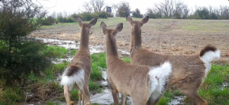 Screenshot 2026-04-12 at 08-15-25 Facebook.png