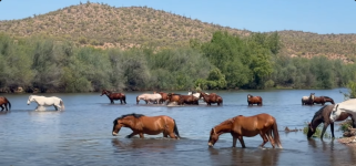 Screenshot 2026-04-14 at 07-11-22 Facebook.png