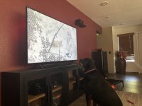 IMG_2219.jpeg