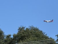 80515678675__F83E118C-6AD0-4907-BDB2-6C96BF664F1D.jpeg