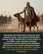 1784296498979.png